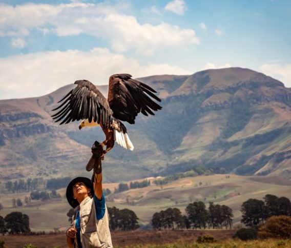 A unique and extreme vacation package to an eagle hatchery